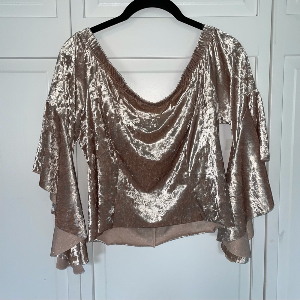 Tan Velvet Metallic Off the Shoulder Bell Sleeve